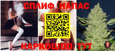 крисы Гагарин