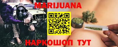крисы Гагарин