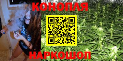 крисы Гагарин