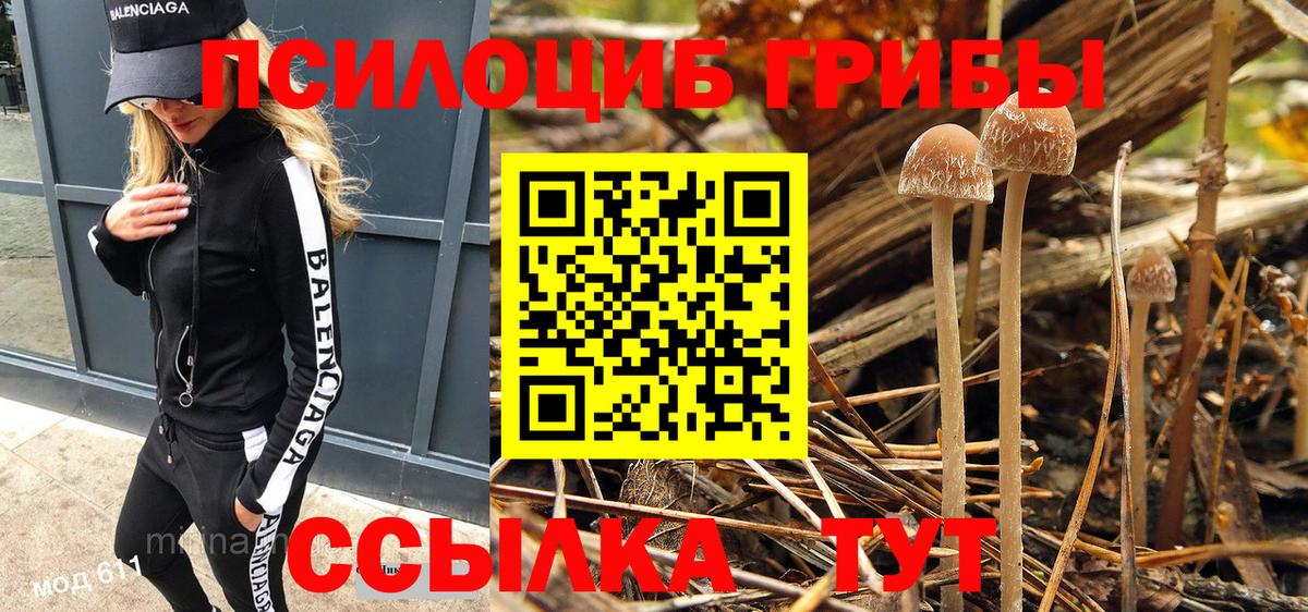 Галлюциногенные грибы Cubensis  Вход с VPN  как найти наркотики  Санкт-Петербург  Псилоцибиновые грибы GOLDEN TEACHER 